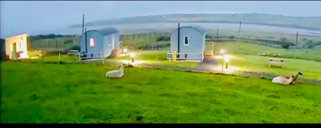 The Snuggly Sheep Farm Stay Shepherd Hut photo 1
