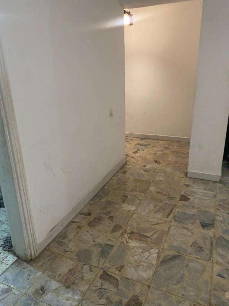 حدايق الأهرام القديمه