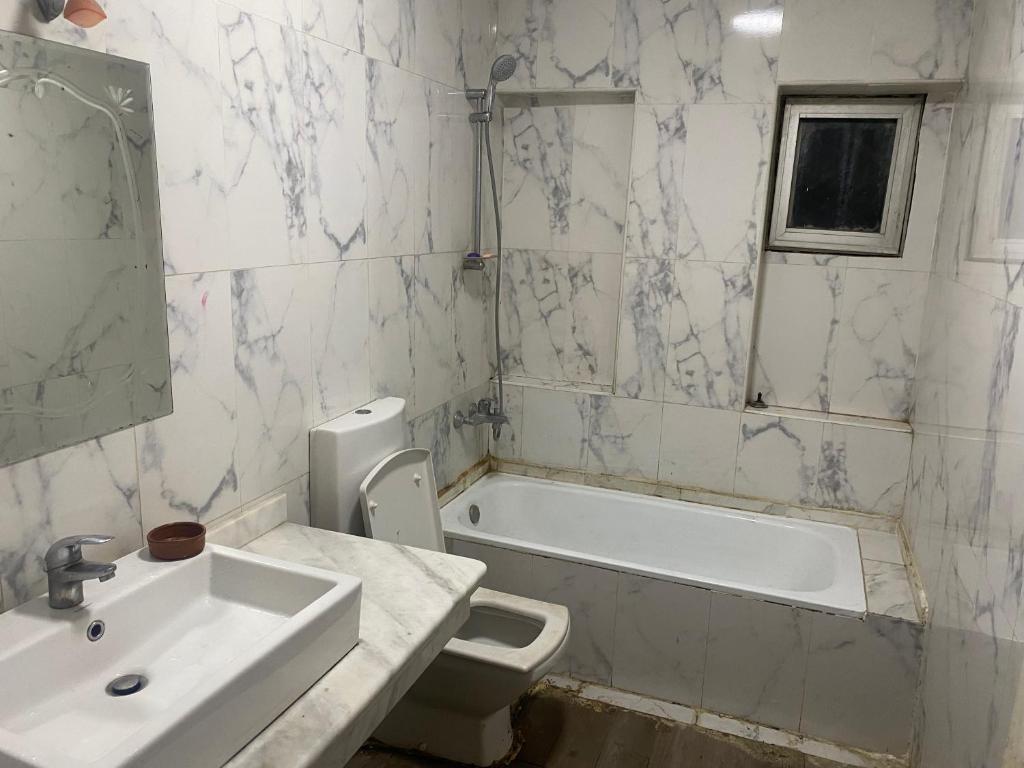 حدايق الأهرام القديمه photo 2