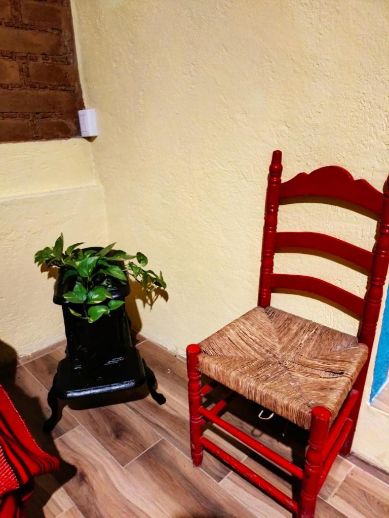 Casa en el bosque, relajate y disfruta la naturaleza photo 1
