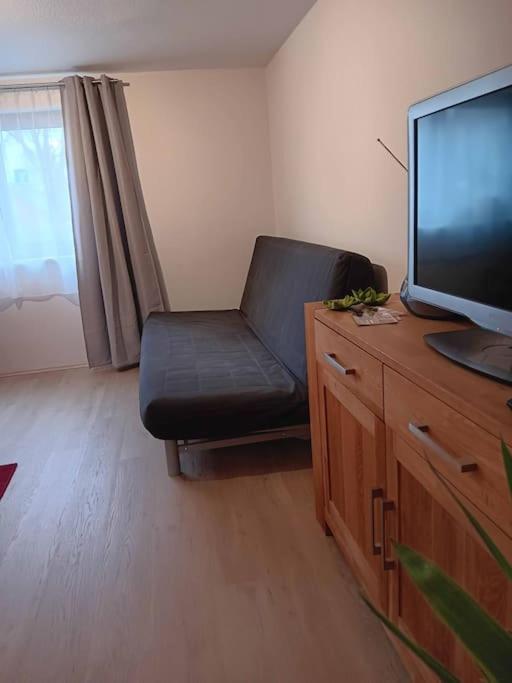 Naturaktivitäten, Entspannung - Ferienwohnung photo 4