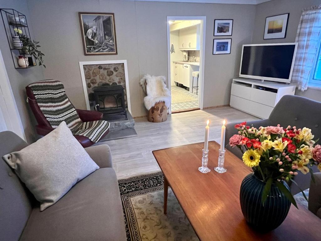 Koselig feriehus sentralt i Sirdal photo 2