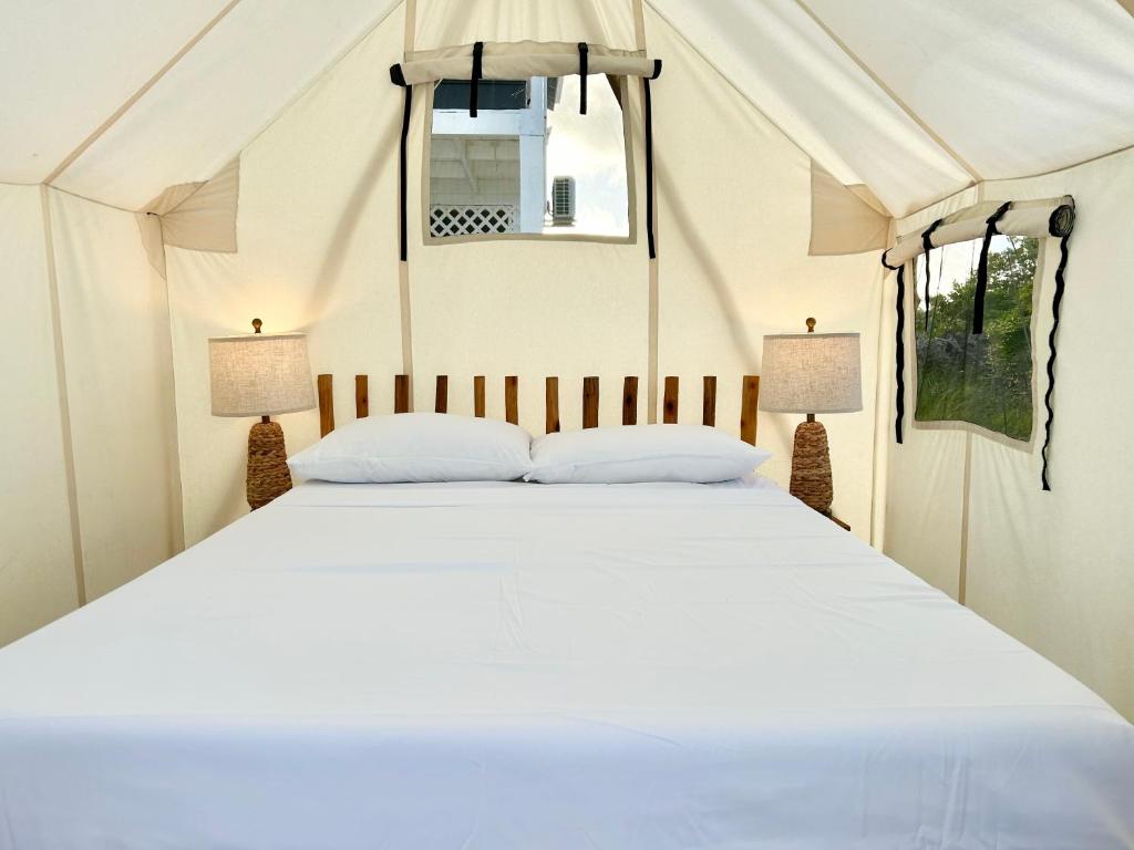 Beachfront Glamping photo 1