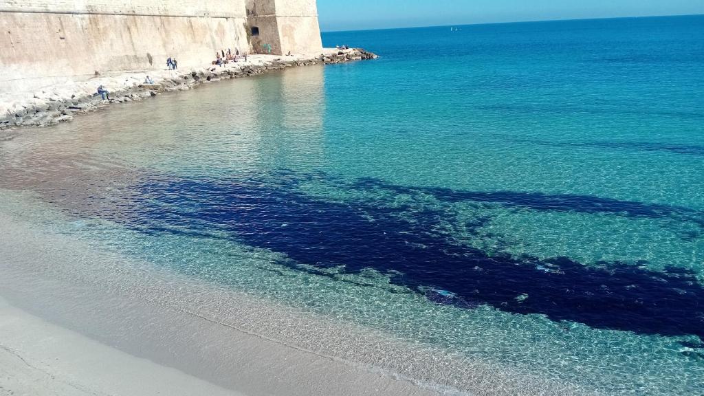 Che bella vita! photo 2