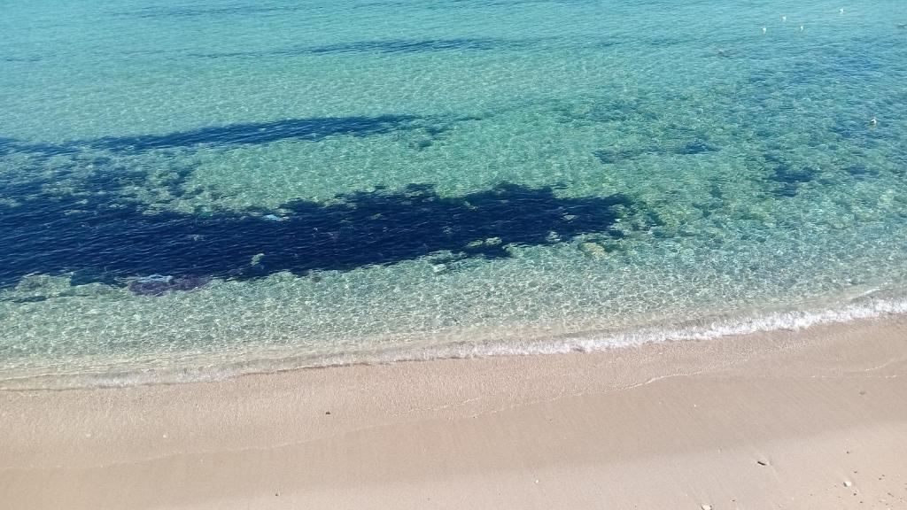 Che bella vita! photo 1