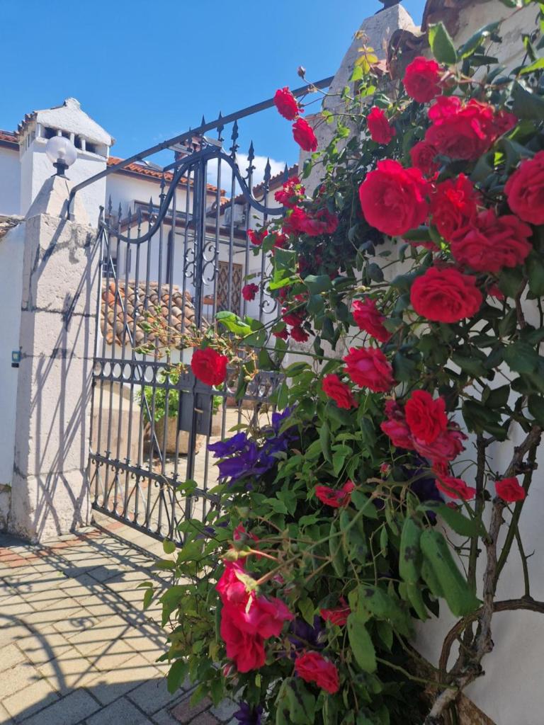 Guesthouse Villa Galovic photo 1