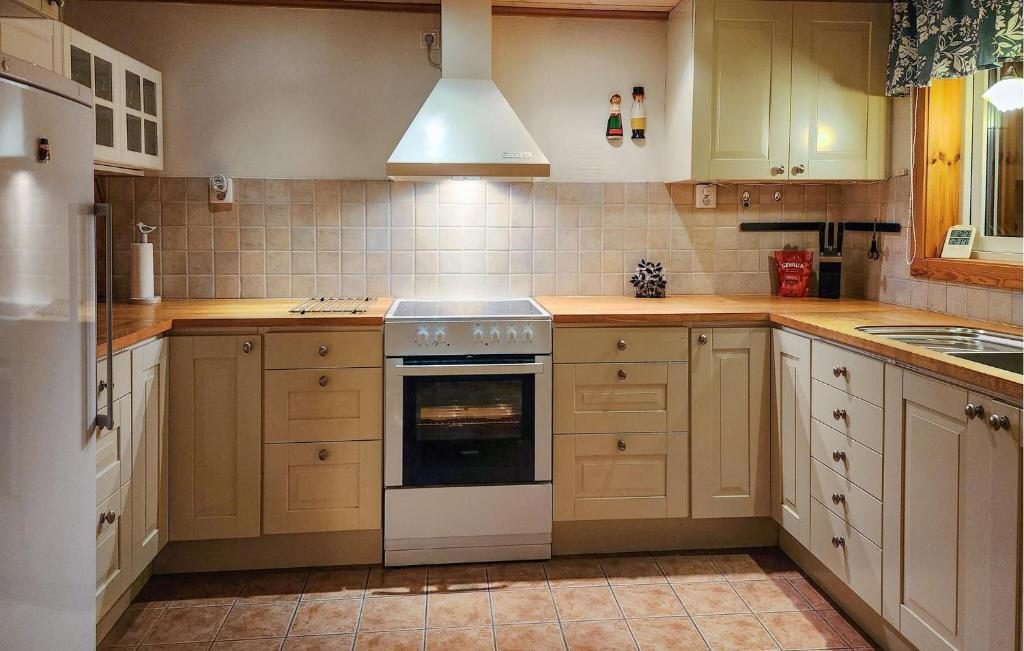 Gorgeous Home In Orsa With Kitchen photo 3