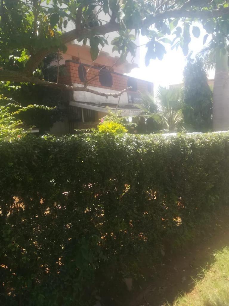 Alwali Guest House photo 3
