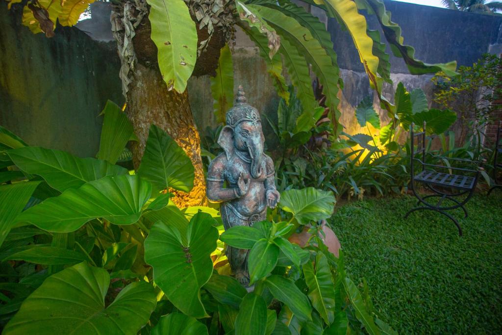Dhyana Villa photo 3