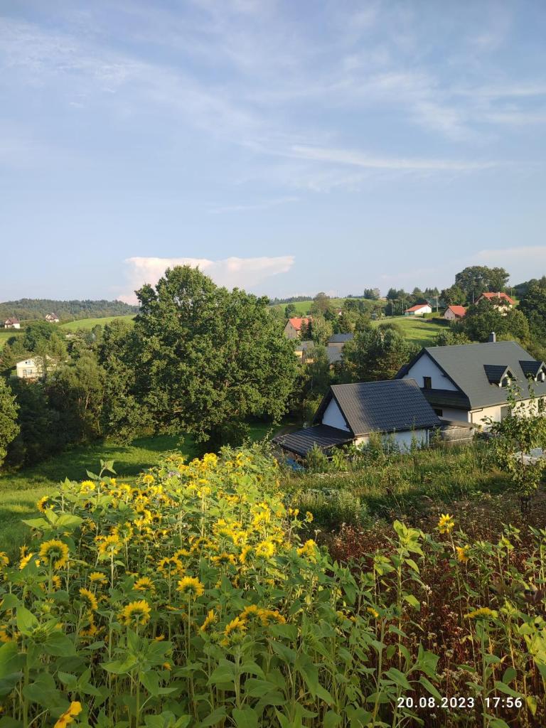 Szczęśliwe Ranczo nad Doliną 539-279-448 photo 1