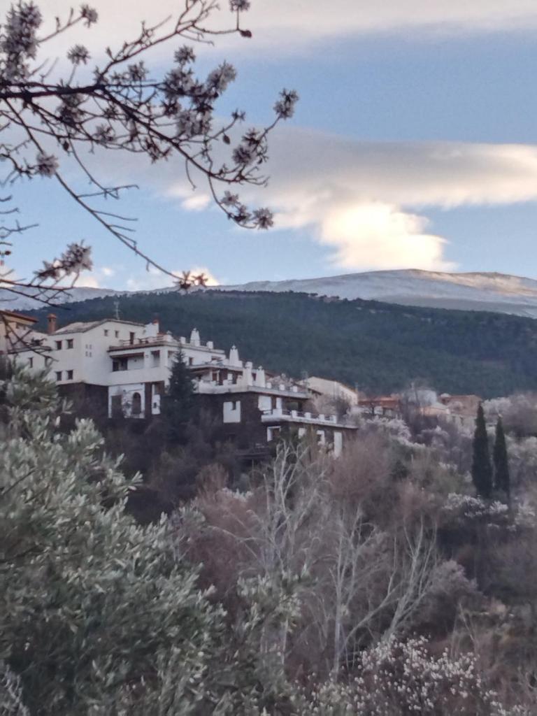 La Posada del Altozano photo 1