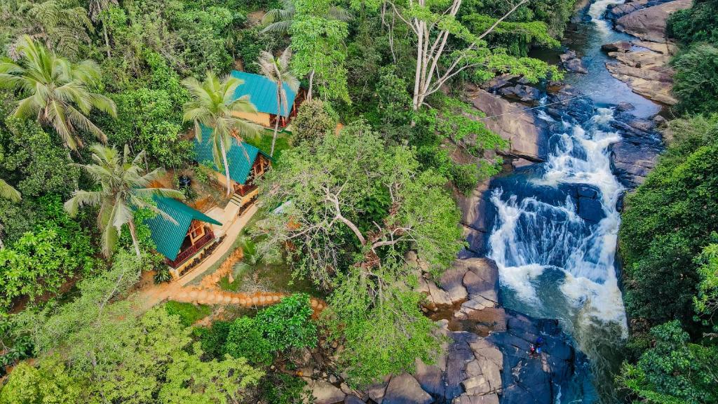 The Rainforest Hideaway photo 1