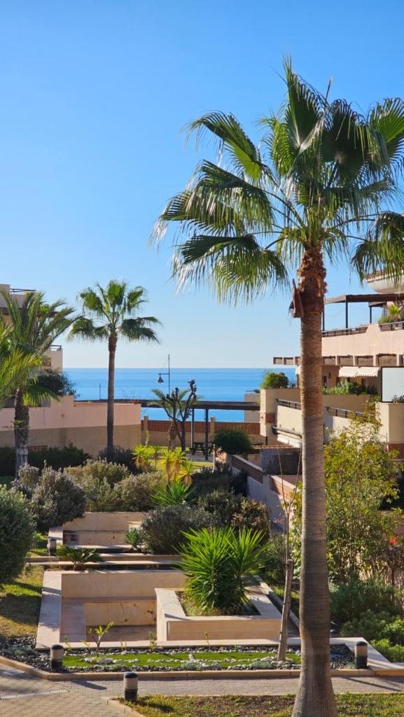 Costa Brisas photo 2