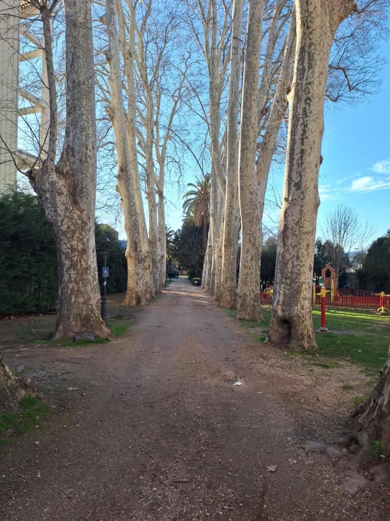 Jardines photo 3