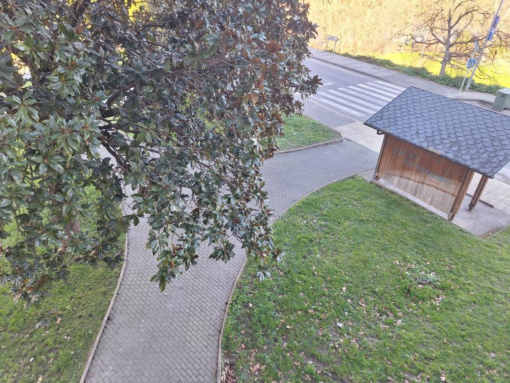 Jardines photo 1