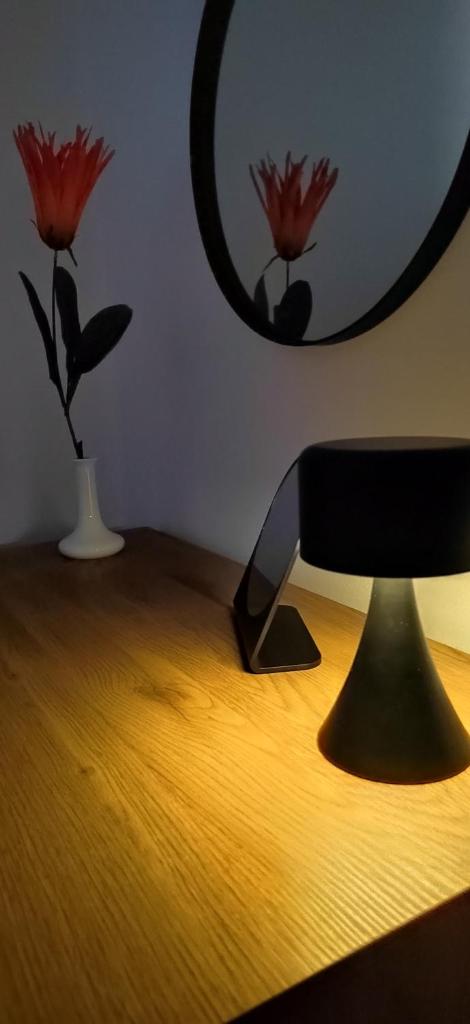 Apartman HD photo 4