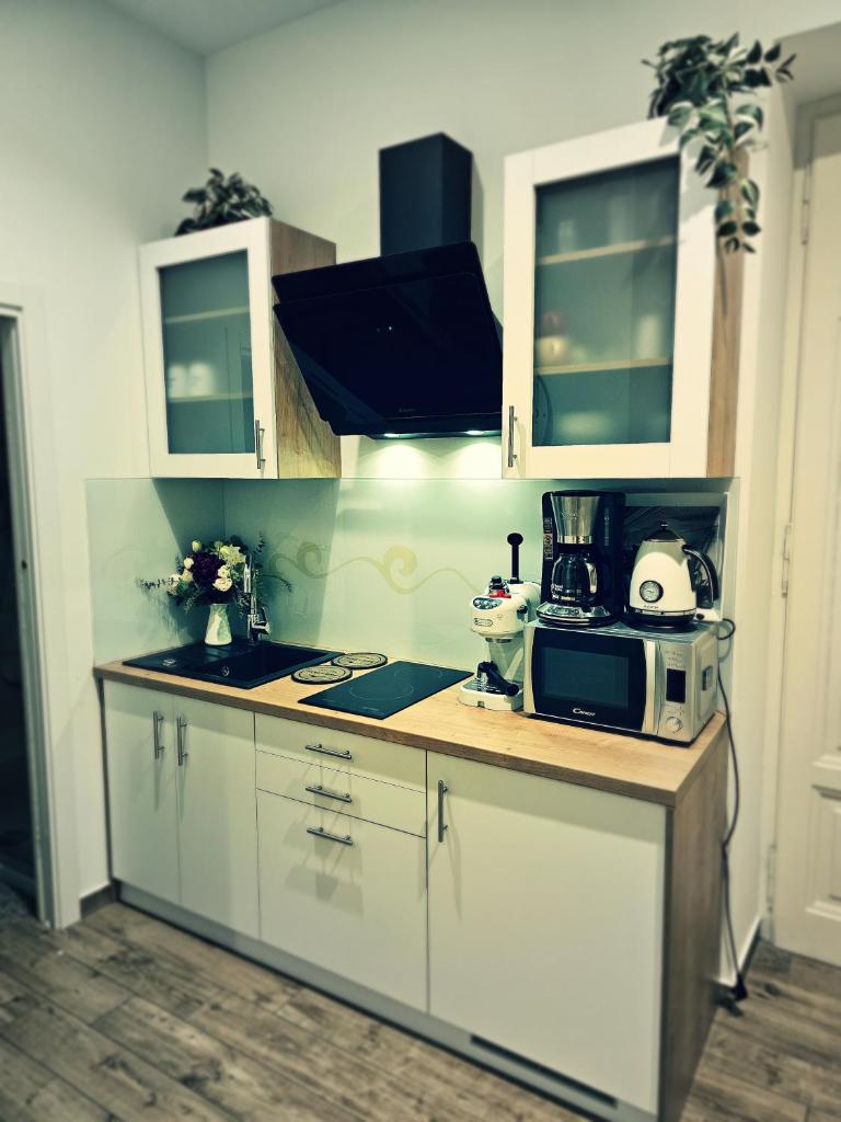 Studio apartman Villa Gianna photo 2