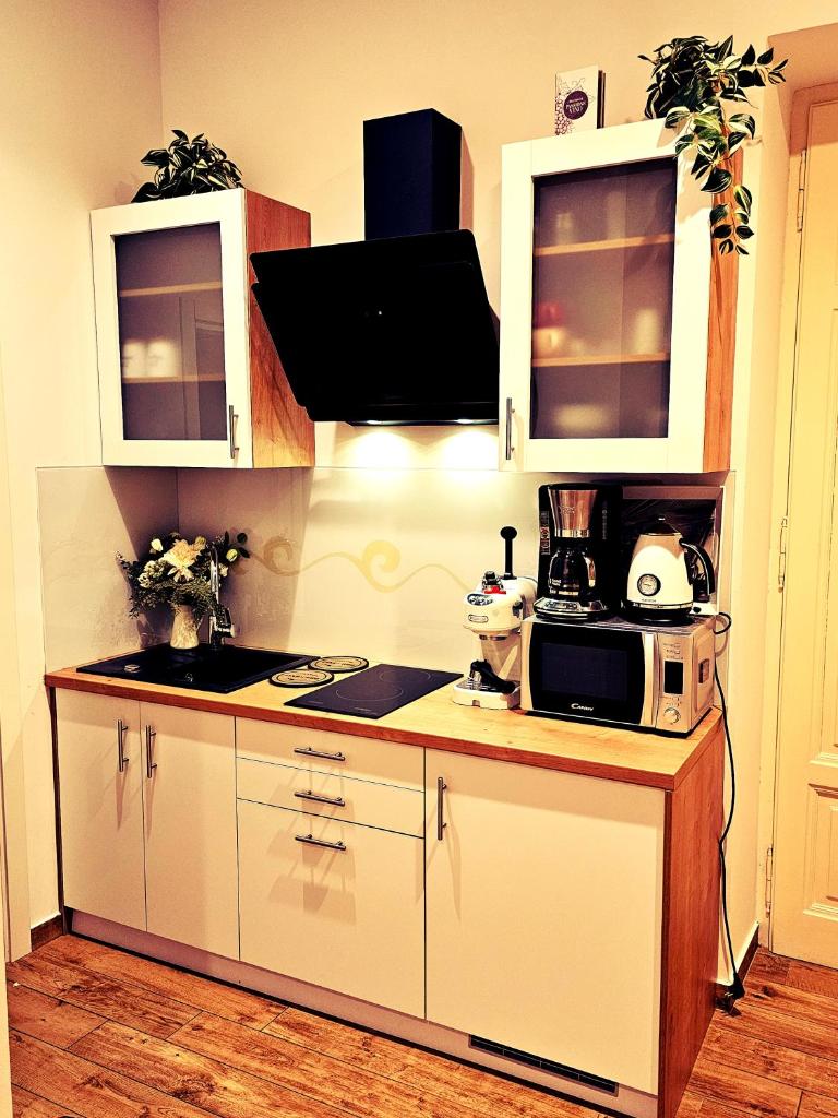 Studio apartman Villa Gianna photo 1