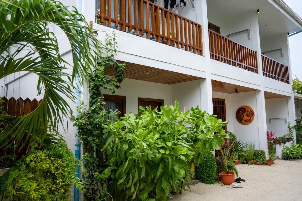 Akiri Dhigurah photo 3