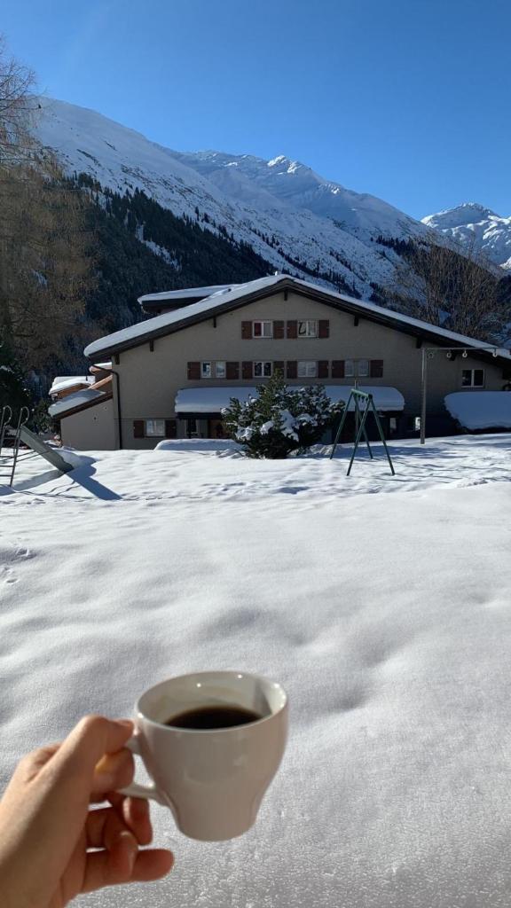 Swiss Alpine Hideaway photo 4