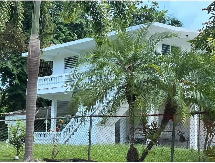 Casita Colinas Del Yunque photo 4