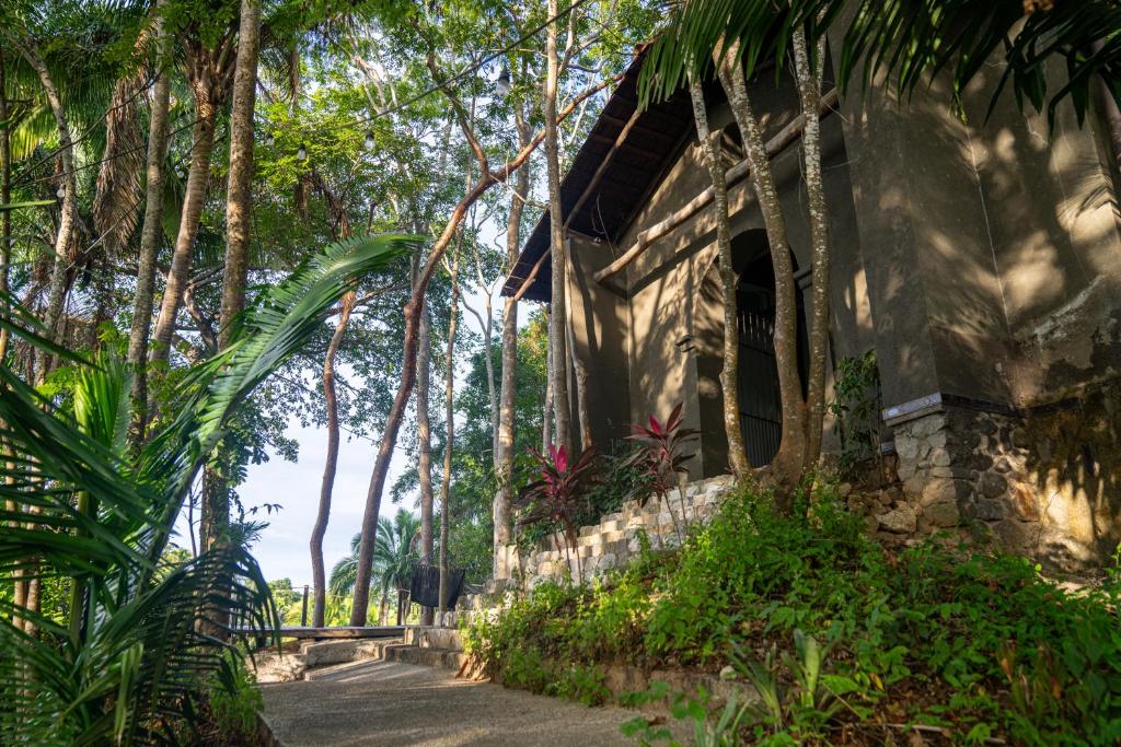 Casa Jaguar Retreat photo 1