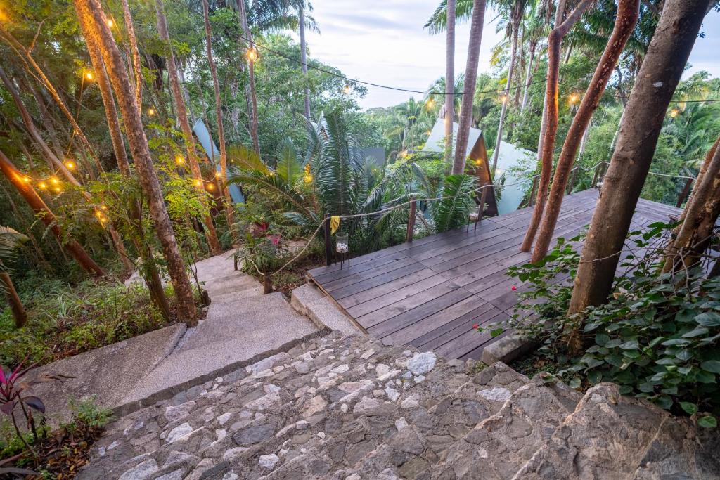 Casa Jaguar Retreat photo 4