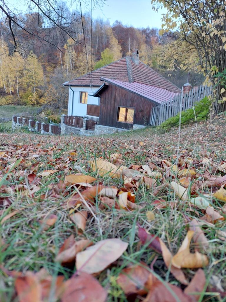 Casuta de sub munte photo 3