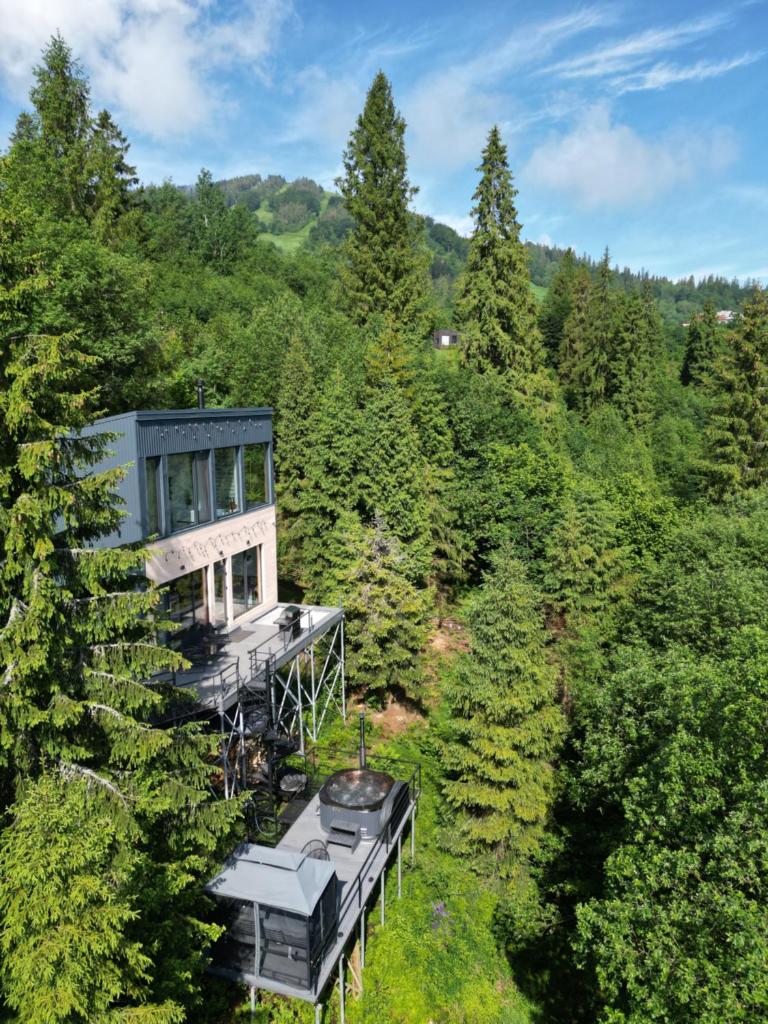 Forest Hub photo 2