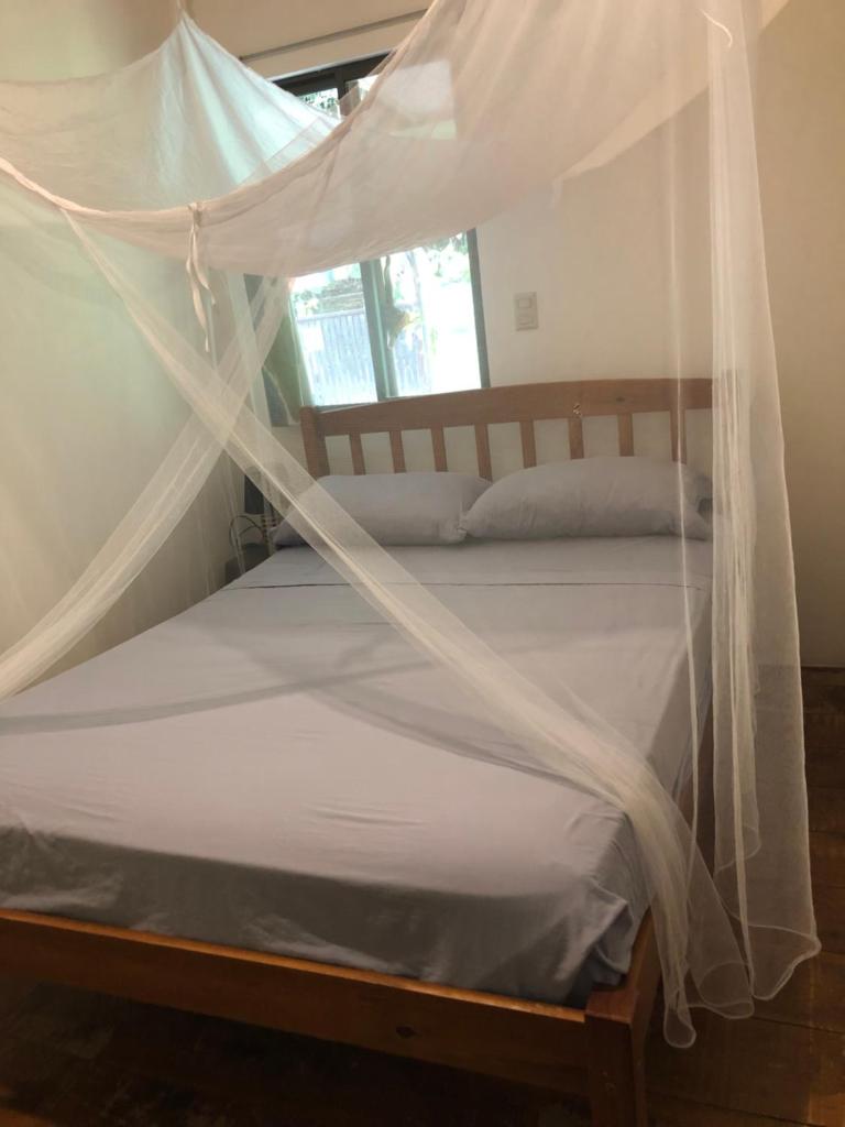 Casa Morpho Uvita Guesthouse photo 1