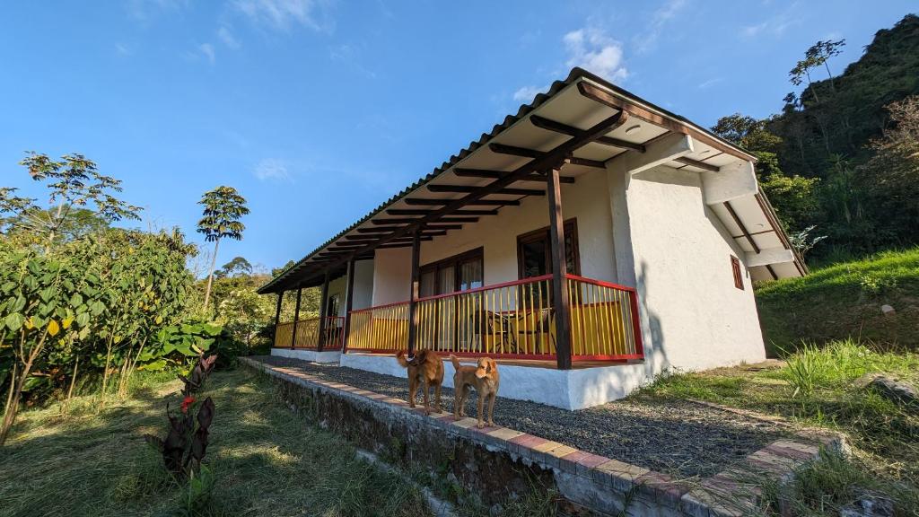 Cabaña Nazak Lago 2