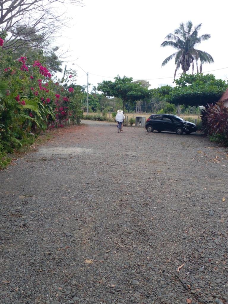 Cabañas Martina Surf Playa Guanico photo 2