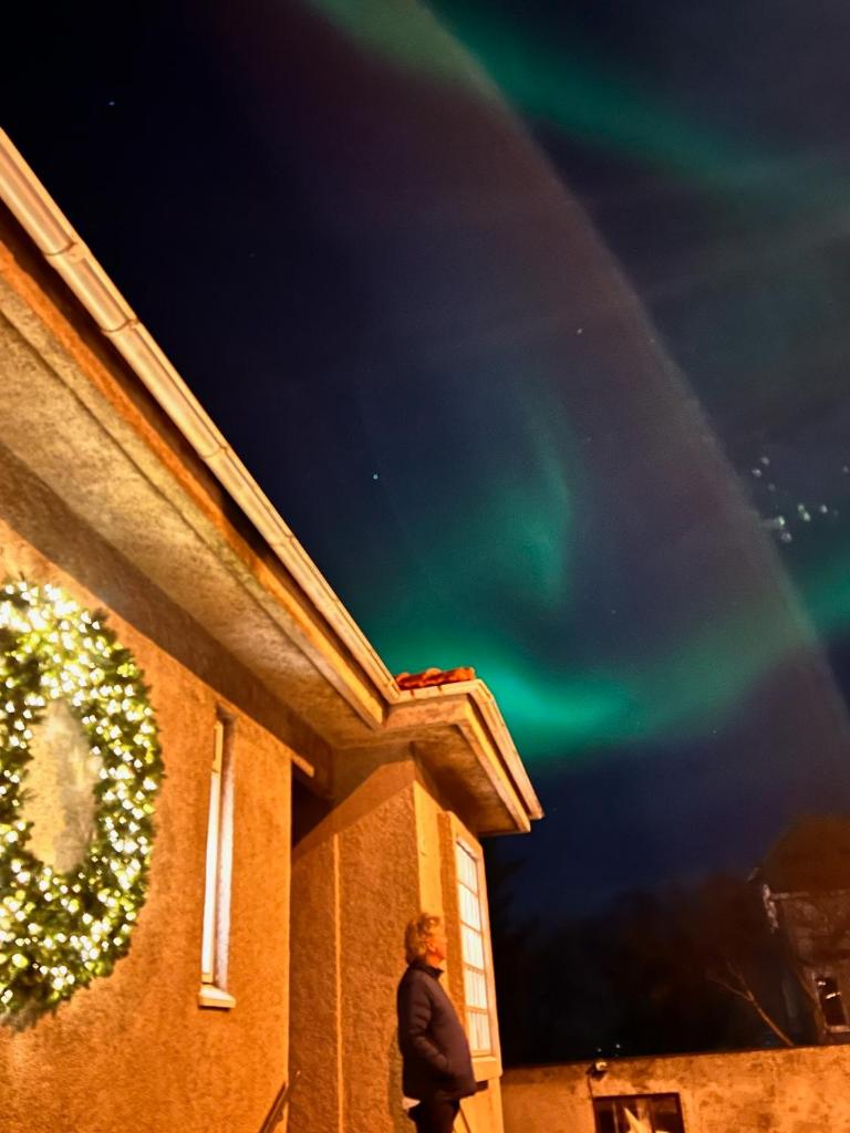Casa Dísa - Dreams, A Boutique Guesthouse in Reykjavik City`s Central Park and Botanical Garden in Laugardalur, Hot-Spring-Valley photo 1