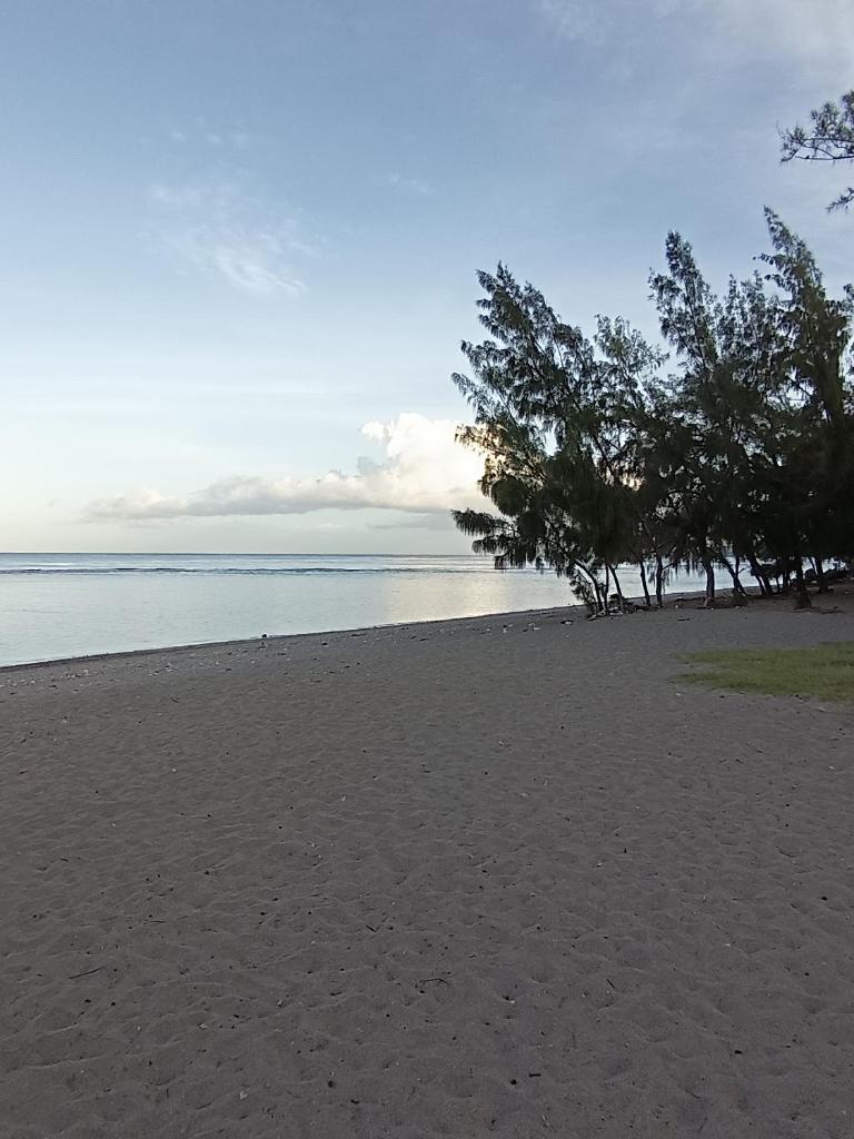 Chambre Vue sur Mer photo 4