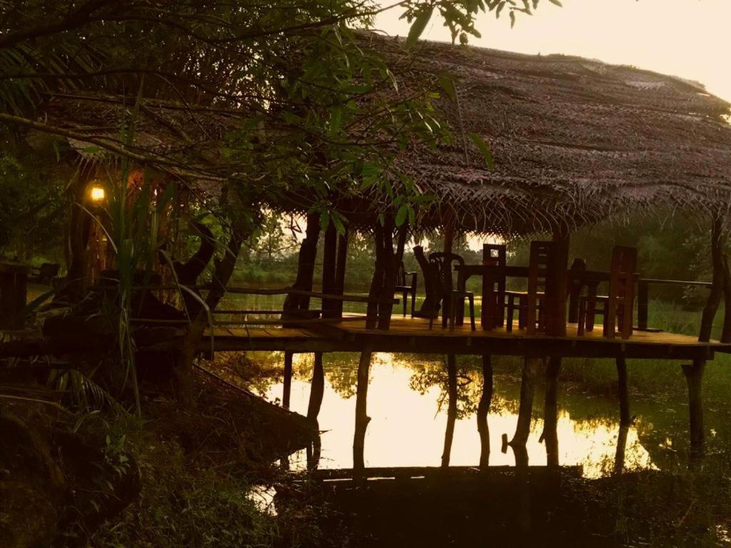 Aliya Riverside & Safari Resort photo 2