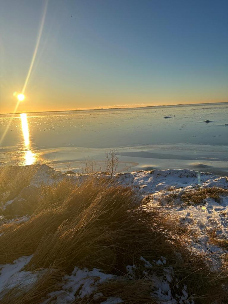 Sjöstugor med SPA i Höllviken photo 4