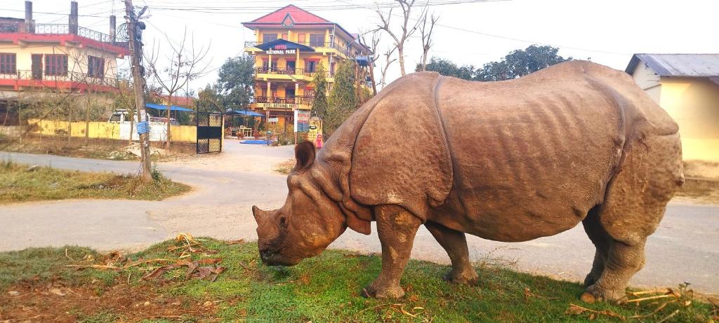 Hotel National Park Sauraha photo 2