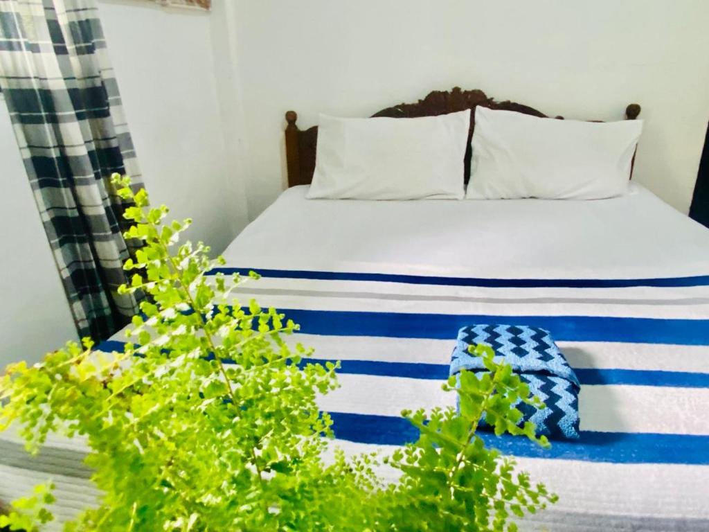 Riverside Guest house and Travels photo 1