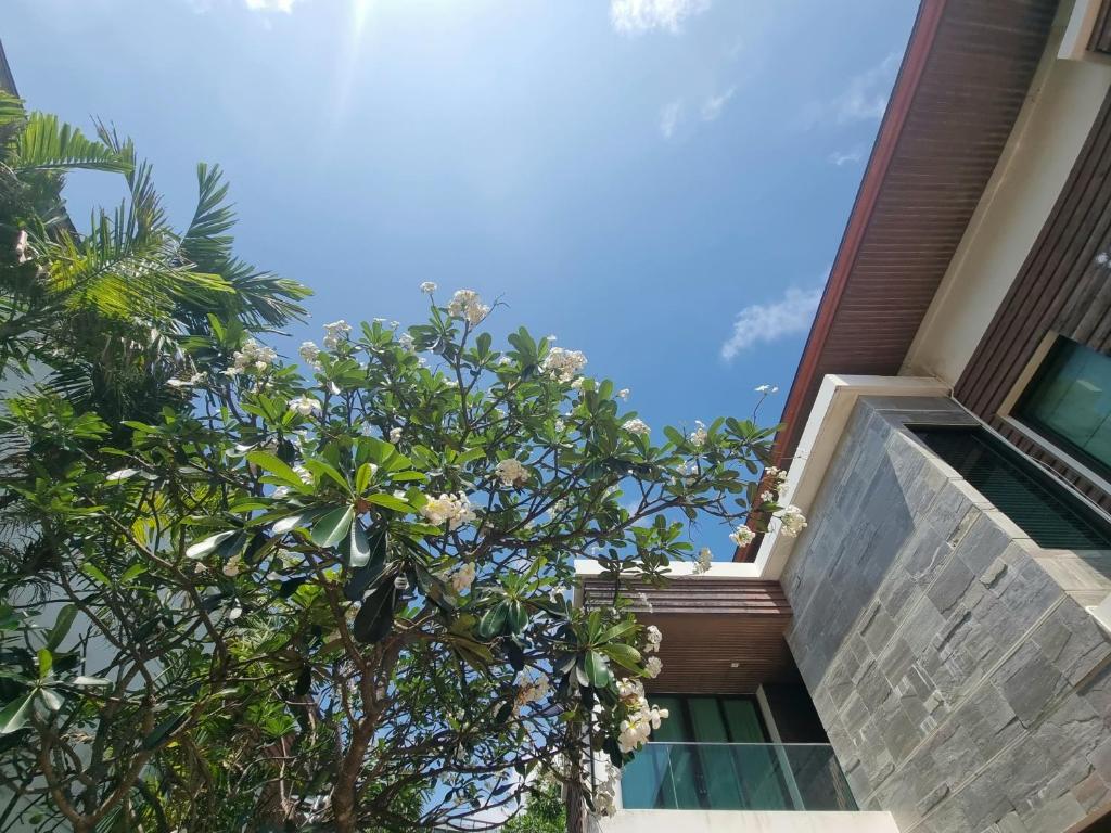 Palmeraiebeach Resort Rayong ปาล์มมาลี บีช รีสอร์ท ระยอง 罗勇棕榈树海滩酒店 photo 4