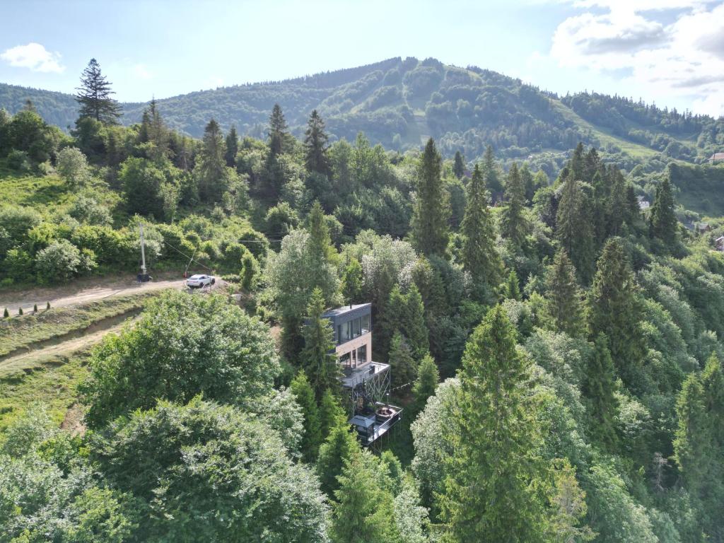 Forest Hub photo 4