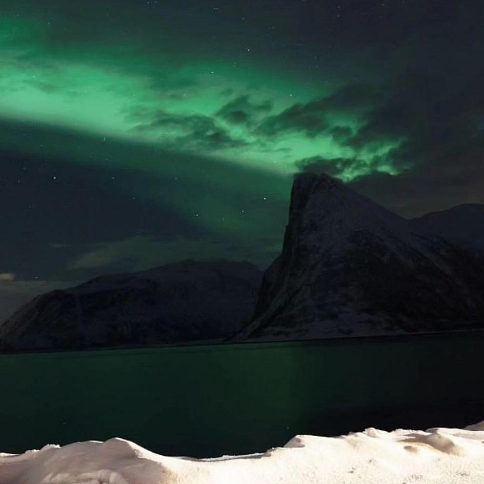 Senja Living photo 1