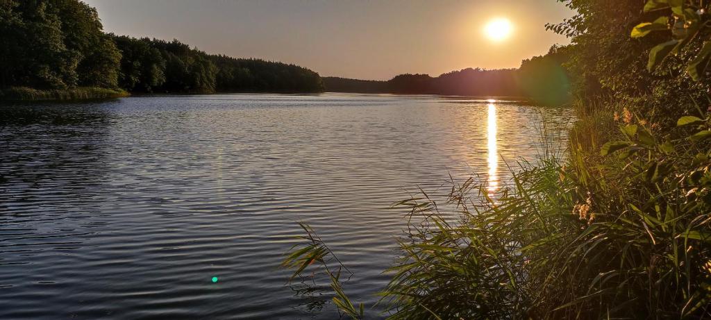 Domek letniskowy Nad Mrowinkiem photo 3