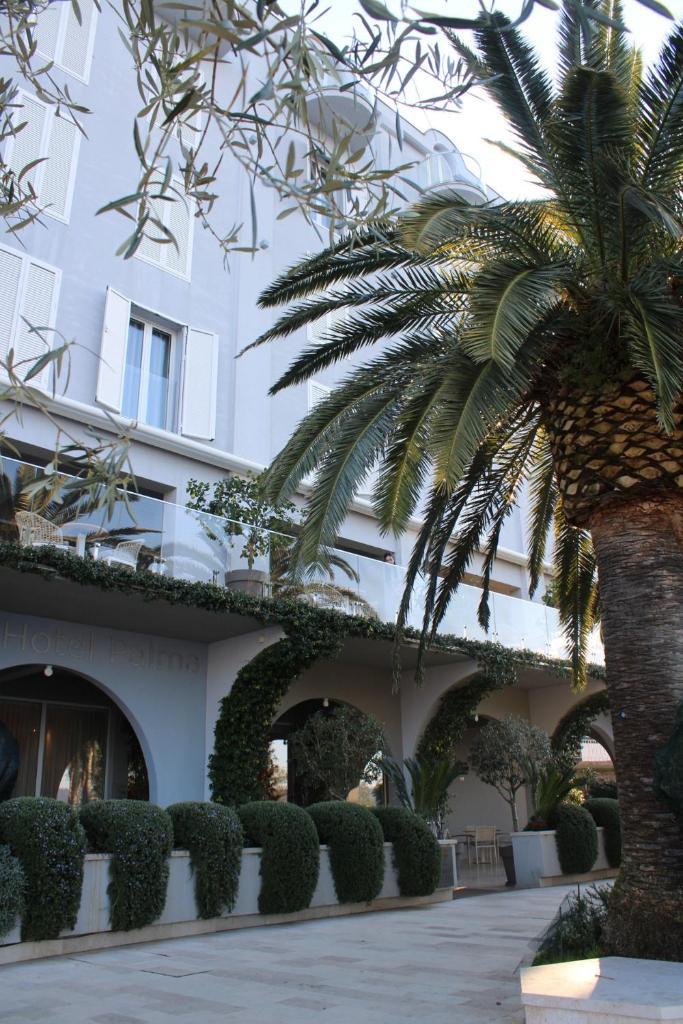 Hotel Palma photo 1