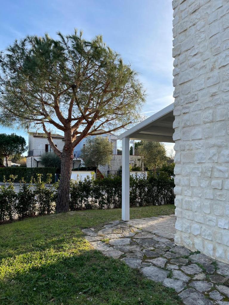 Villa Pea Numana photo 4