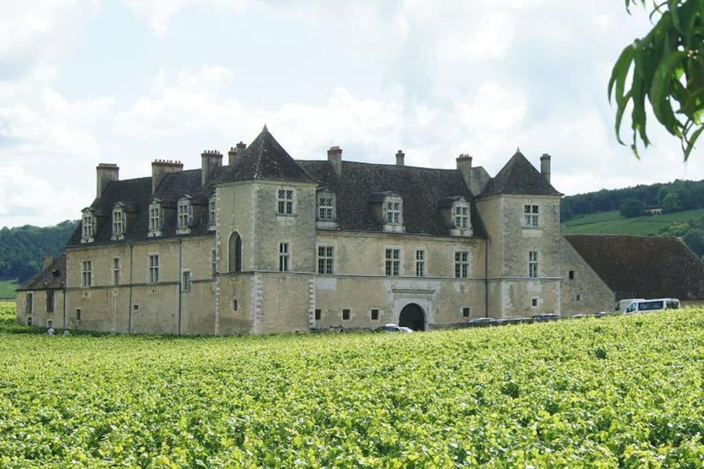 logez au cœur de la route des grands crus photo 3