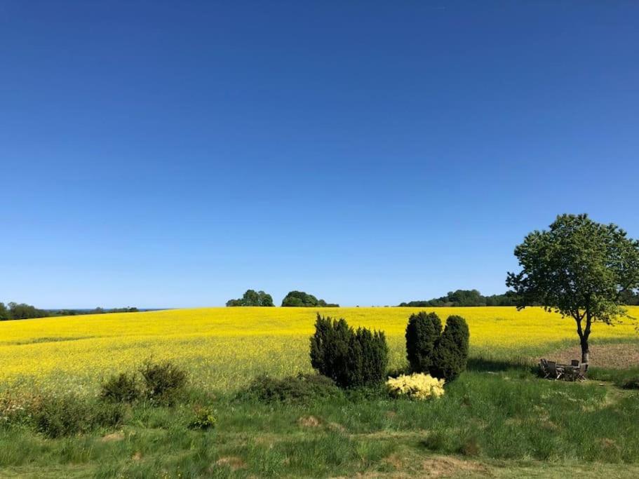 Sagolikt läge med havsutsikt i Rörum på Österlen photo 1