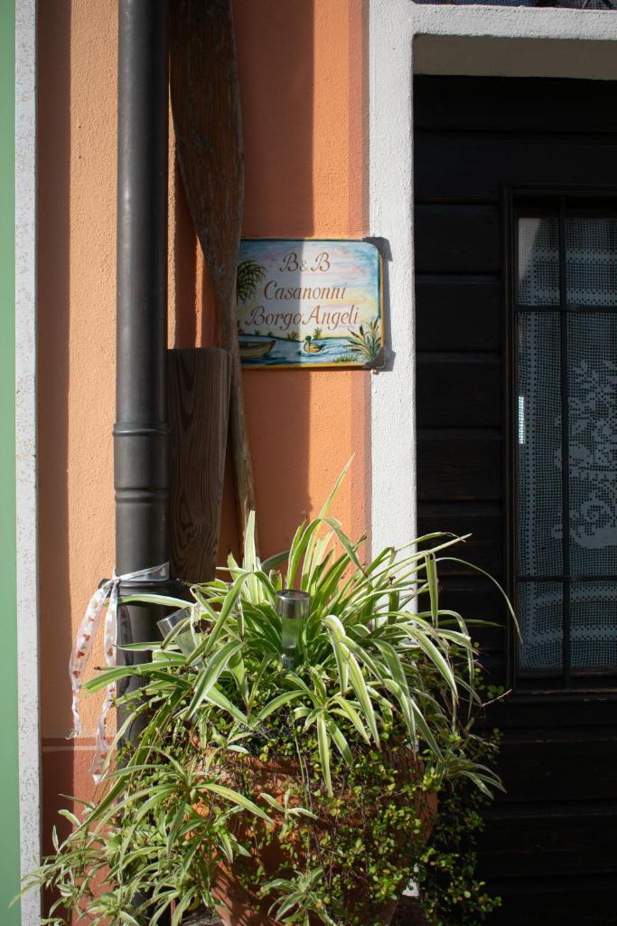 B&B Casanonni Borgo Angeli photo 3