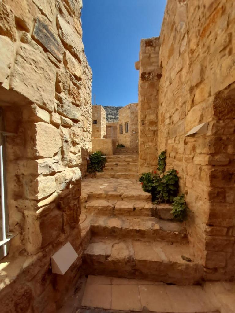 Fig tree hotel