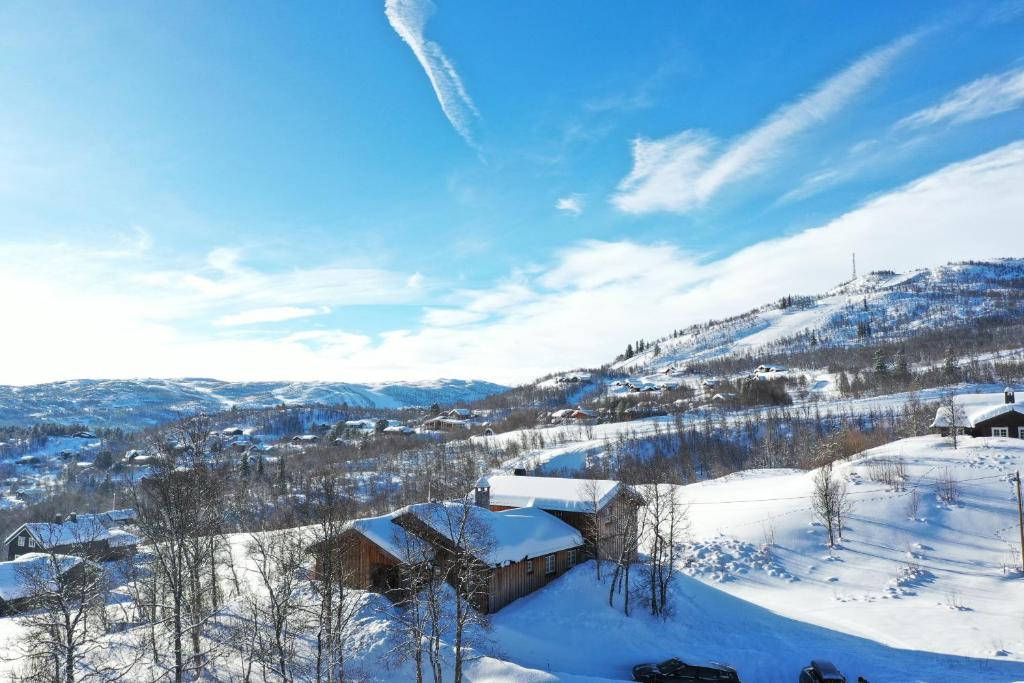 Solrik og flott hytte i Havsdalen photo 2