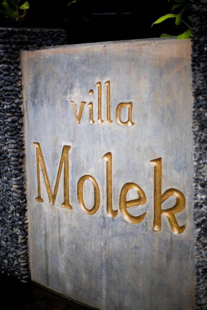 Villa Molek photo 1
